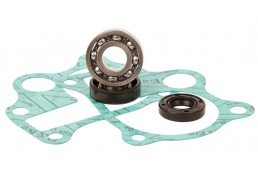 KIT REVISIONE POMPA ACQUA HOT RODS