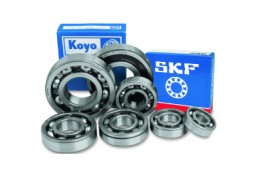 cuscinetto skf 16005 25*47*8